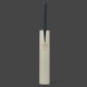 SS Ton Ton Special Edition English Willow Cricket Bat
