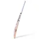 SS Wave English Willow Cricket Bat
