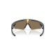 Oakley Gold Polarized Rectangular Unisex Sunglasses Oakley Gold Polarized Rectangular Unisex Sunglasses